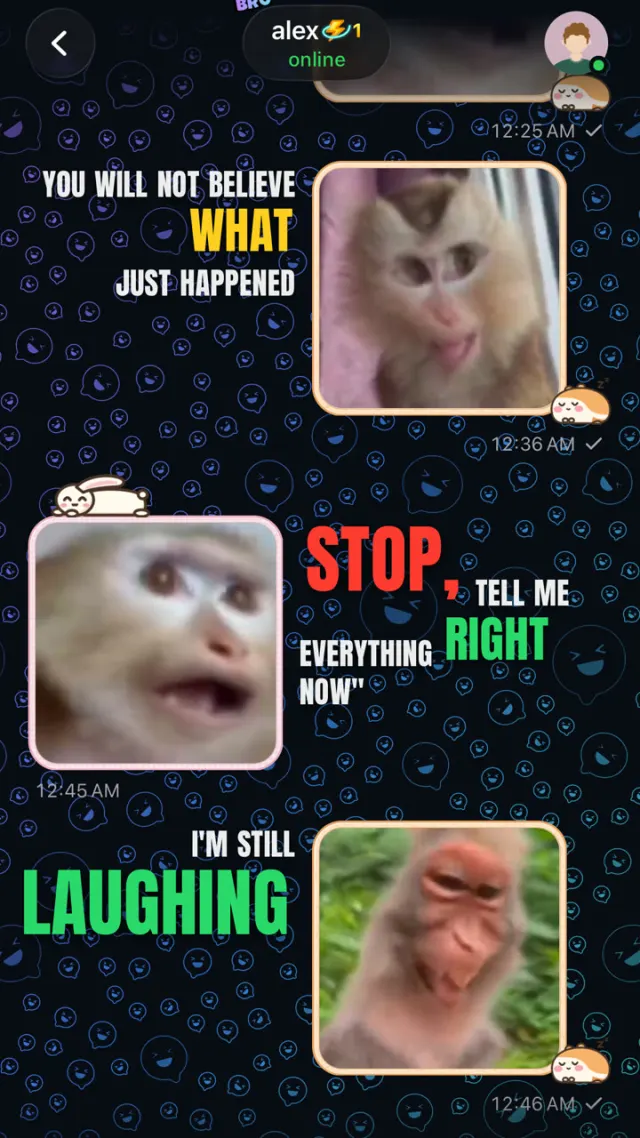 A GifChat chat with monkey GIF reactions and big caption words: You will not believe what just happened, Stop tell me everything right now, I'm still laughing
