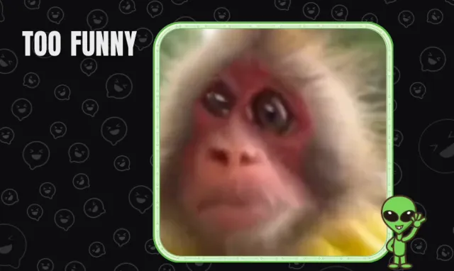 Headline caption look on a monkey GIF: Too funny